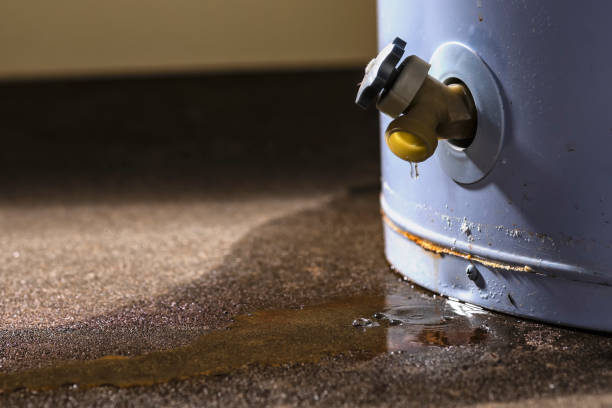  Cerritos, CA Water damage restoration Pros