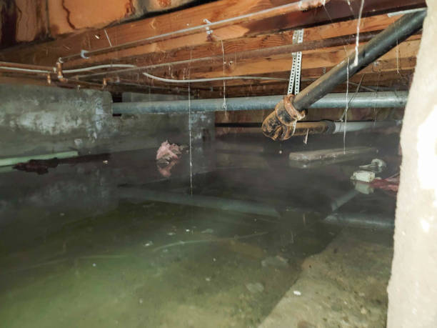 Best Water damage restoration near me  in Cerritos, CA