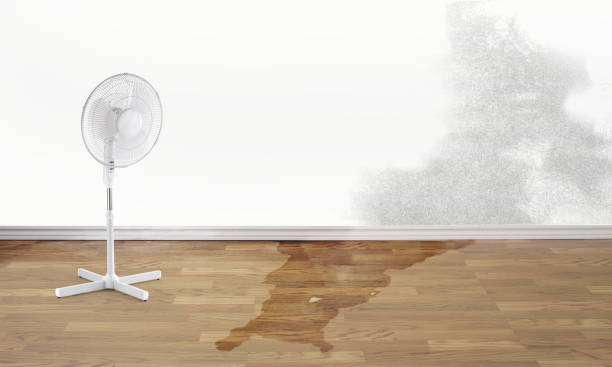 Best Local water damage restoration  in Cerritos, CA