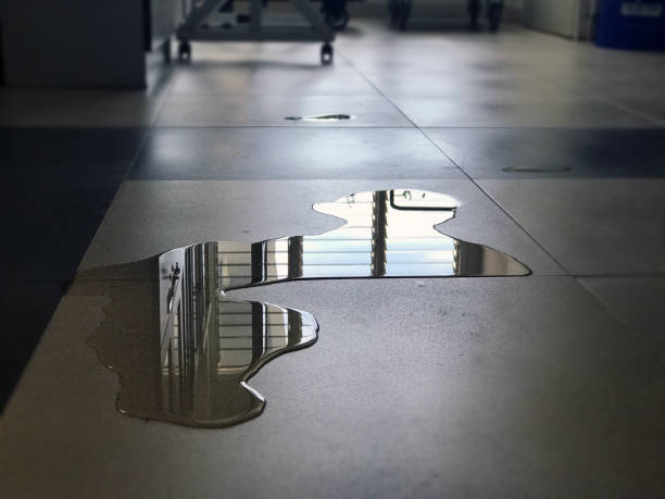 Best Commercial water damage restoration  in Cerritos, CA