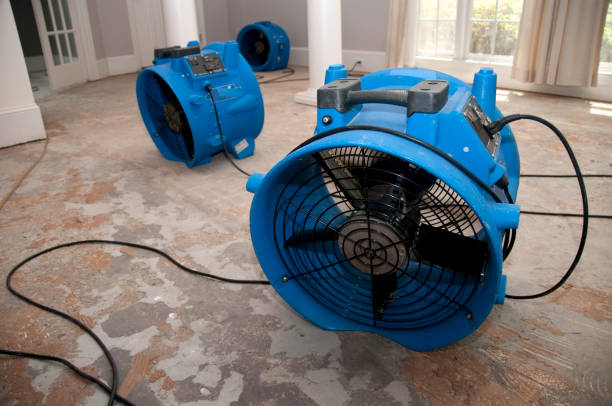 Best Water damage cleanup near me  in Cerritos, CA