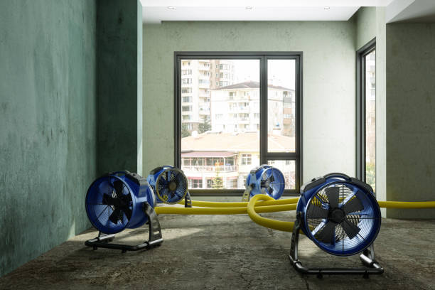 Best Ceiling water damage repair  in Cerritos, CA
